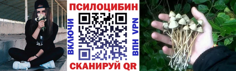 купить наркоту  Красноармейск  Псилоцибиновые грибы MAGIC MUSHROOMS 
